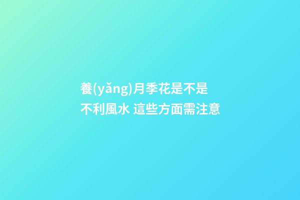 養(yǎng)月季花是不是不利風水 這些方面需注意